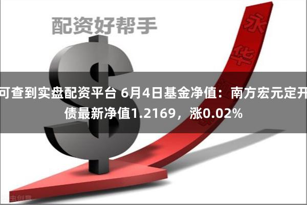 可查到实盘配资平台 6月4日基金净值：南方宏元定开债最新净值1.2169，涨0.02%