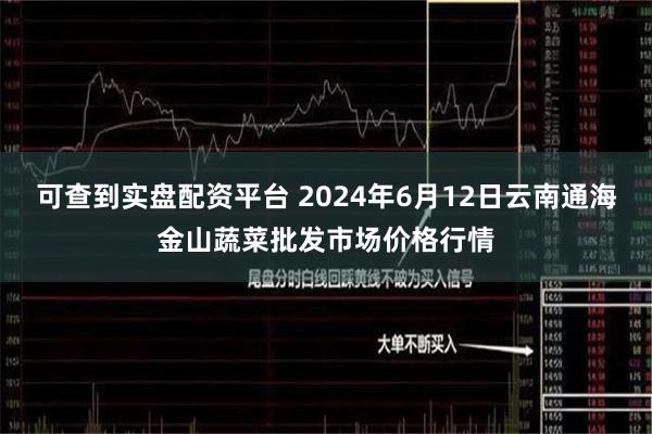 可查到实盘配资平台 2024年6月12日云南通海金山蔬菜批发市场价格行情