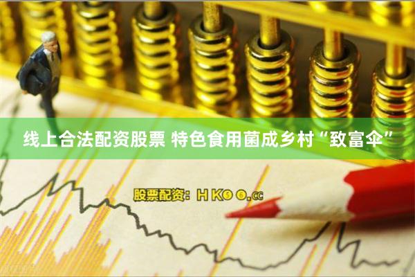 线上合法配资股票 特色食用菌成乡村“致富伞”