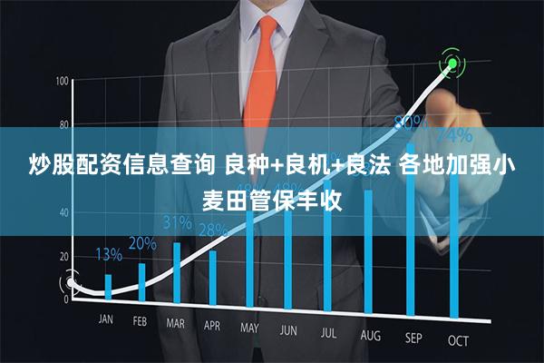 炒股配资信息查询 良种+良机+良法 各地加强小麦田管保丰收