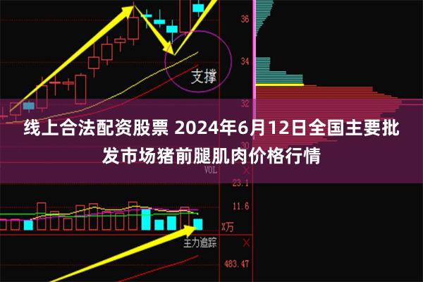线上合法配资股票 2024年6月12日全国主要批发市场猪前腿肌肉价格行情