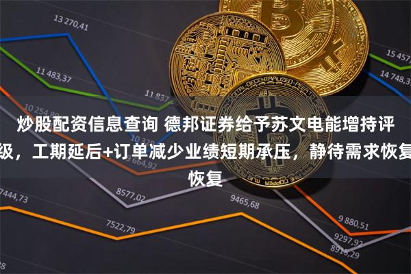 炒股配资信息查询 德邦证券给予苏文电能增持评级，工期延后+订单减少业绩短期承压，静待需求恢复