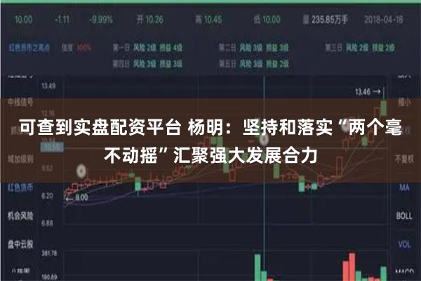 可查到实盘配资平台 杨明：坚持和落实“两个毫不动摇”汇聚强大发展合力