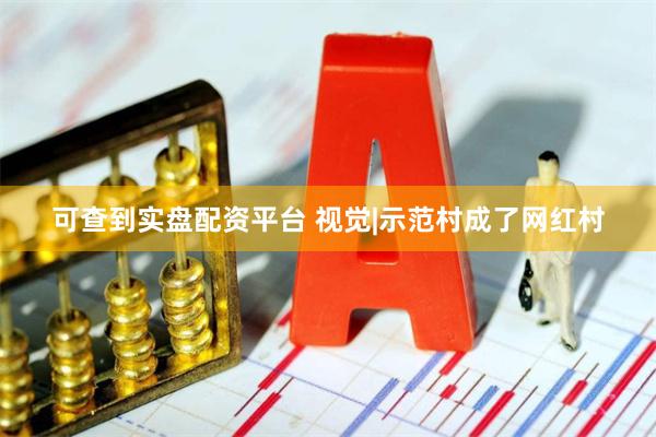 可查到实盘配资平台 视觉|示范村成了网红村