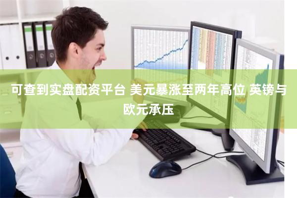 可查到实盘配资平台 美元暴涨至两年高位 英镑与欧元承压